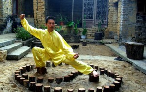 Tai Chi Masters - Wu Heng Dong