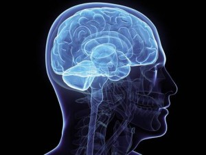 tai chi brain