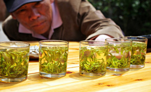 Tai Chi Tea
