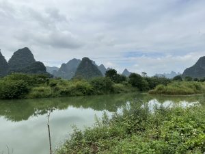 5F6D52D8-18F0-4DD8-8B13-E91FABDF1E73_1_105_c